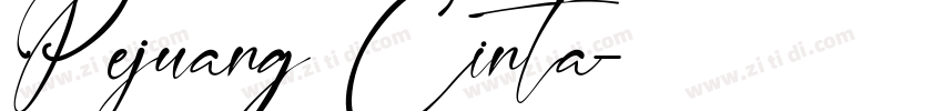 Pejuang Cinta字体转换